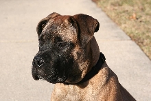 tyson_020506_a
