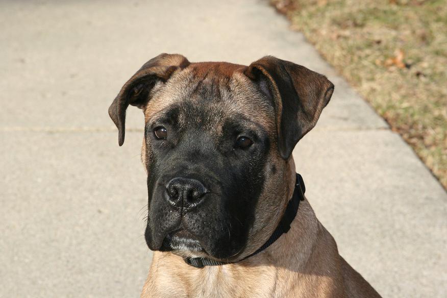 tyson_020506_b