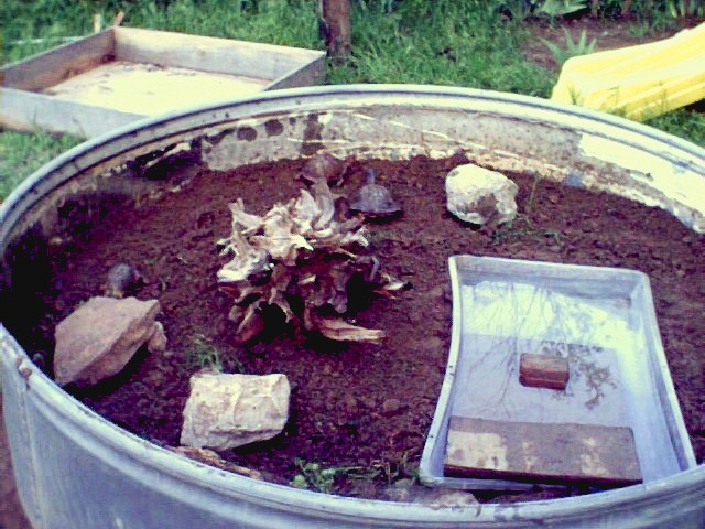 Set up