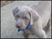 Closeup of Connor