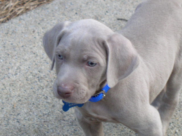 Closeup of Connor