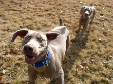 Having fun outside