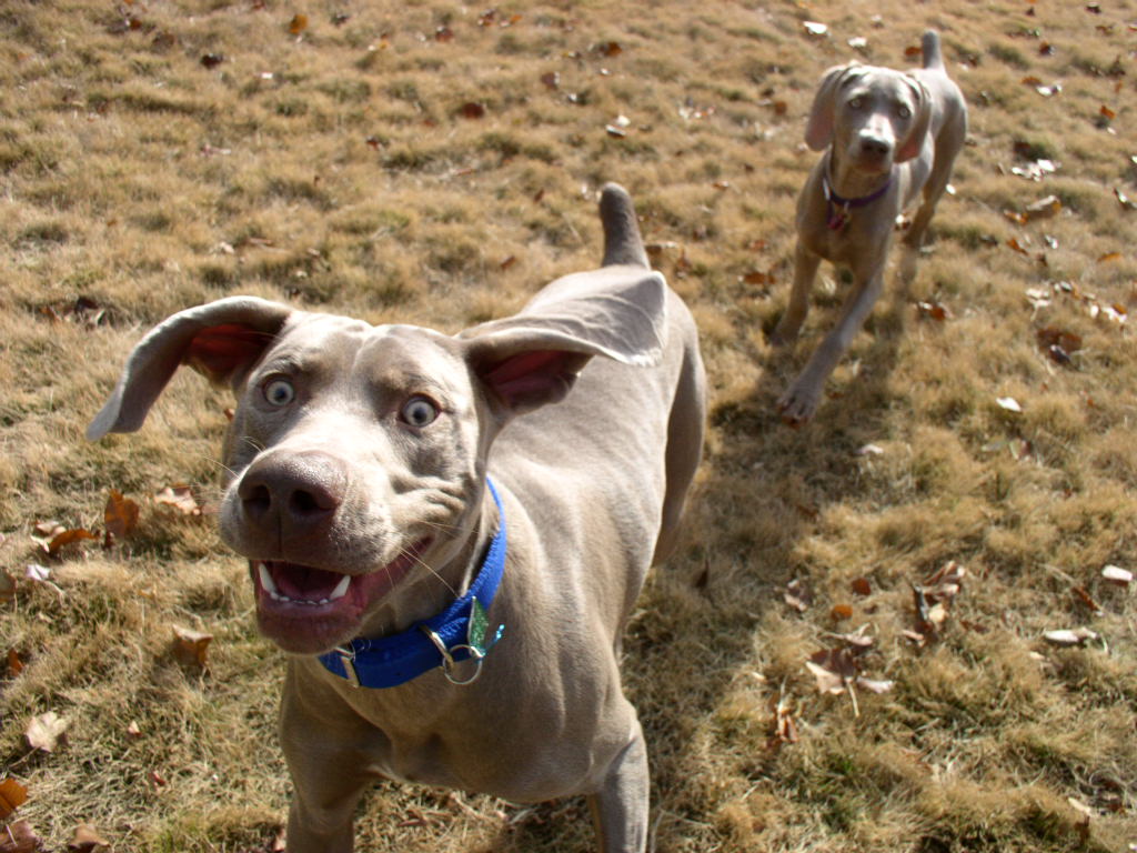 Having fun outside