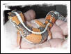 orange phase stripe AFT male