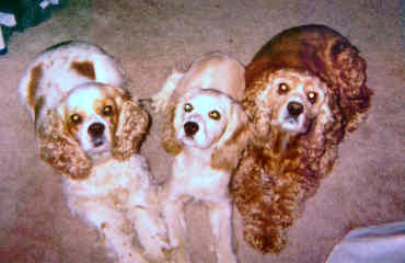 Our family