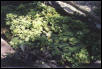 Turtle Pond