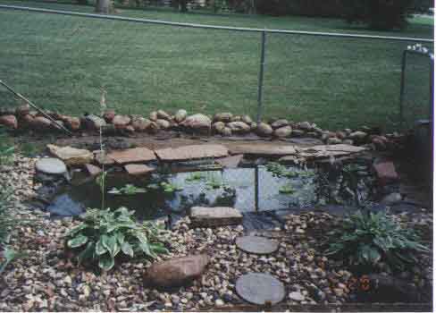 Turtle Pond 2
