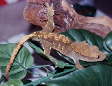 Marty2