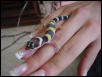 Angel hatchling 1