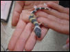 Crystal hatchling 2 pic 2