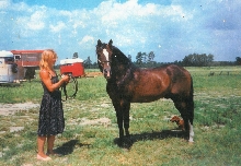 Fovorito and Stella