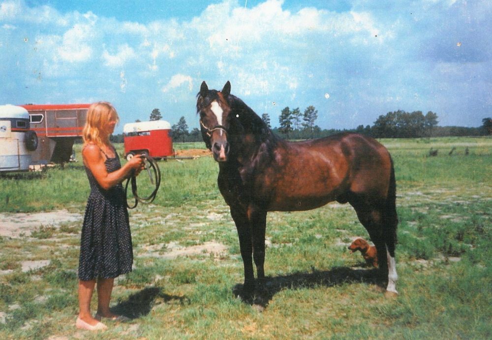Fovorito and Stella