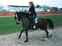 Paso's canter too!