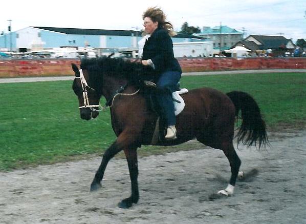 Paso's canter too!