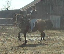 Lois & Cordoba