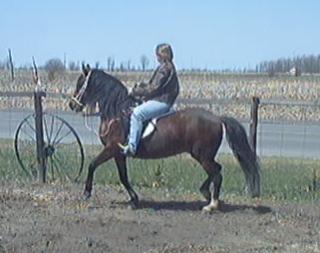 Cordoba & Lois