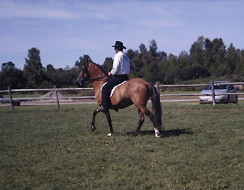John and Spike at Merrickville