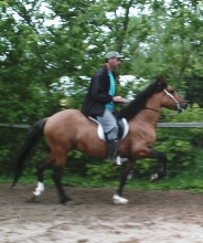 Senor de la Arena