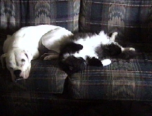 85lb Tuff  E Nuff & 23lb Stinky!