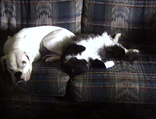 85lb Tuff  E Nuff & 23lb Stinky!