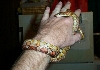 degeiwrist