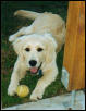 Lucy again