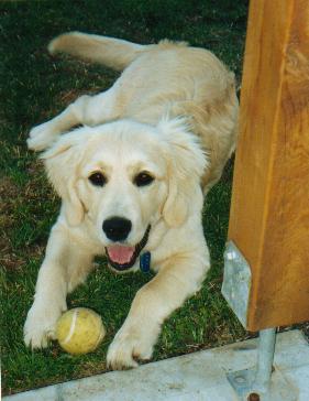 Lucy again