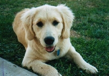 Lucy Jan 03