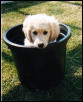 Lucy Oct 2002