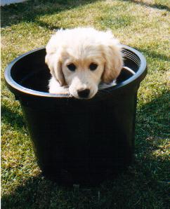 Lucy Oct 2002