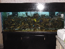 180 salt water