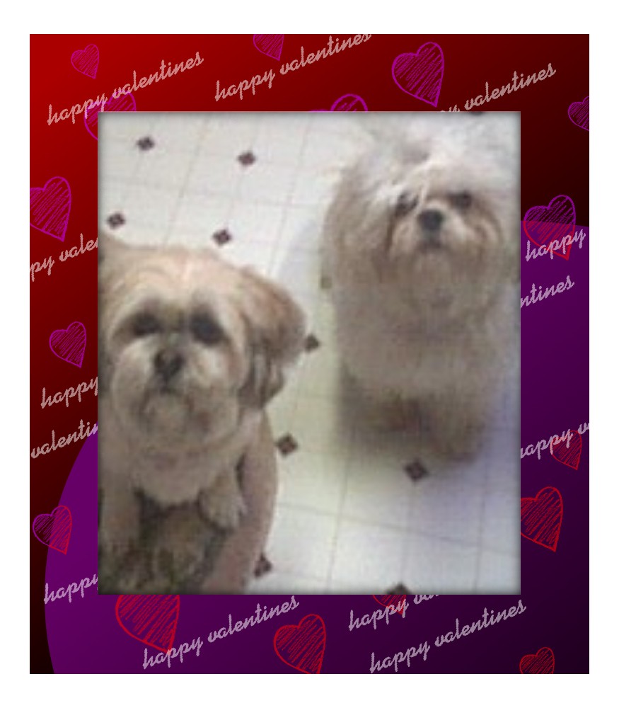 KayCee & Tiilie