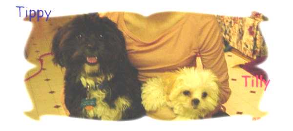 Tippy & Tilly