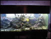 180 gallon saltwater tank