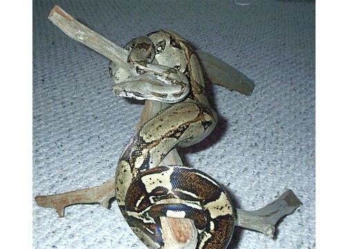 aww.......Just relaxing.