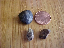 Rocks that Bandito ate