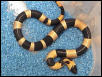 Halloween Pueblan #1 M $500 SOLD