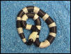 Oreo Pueblan #2 F $500