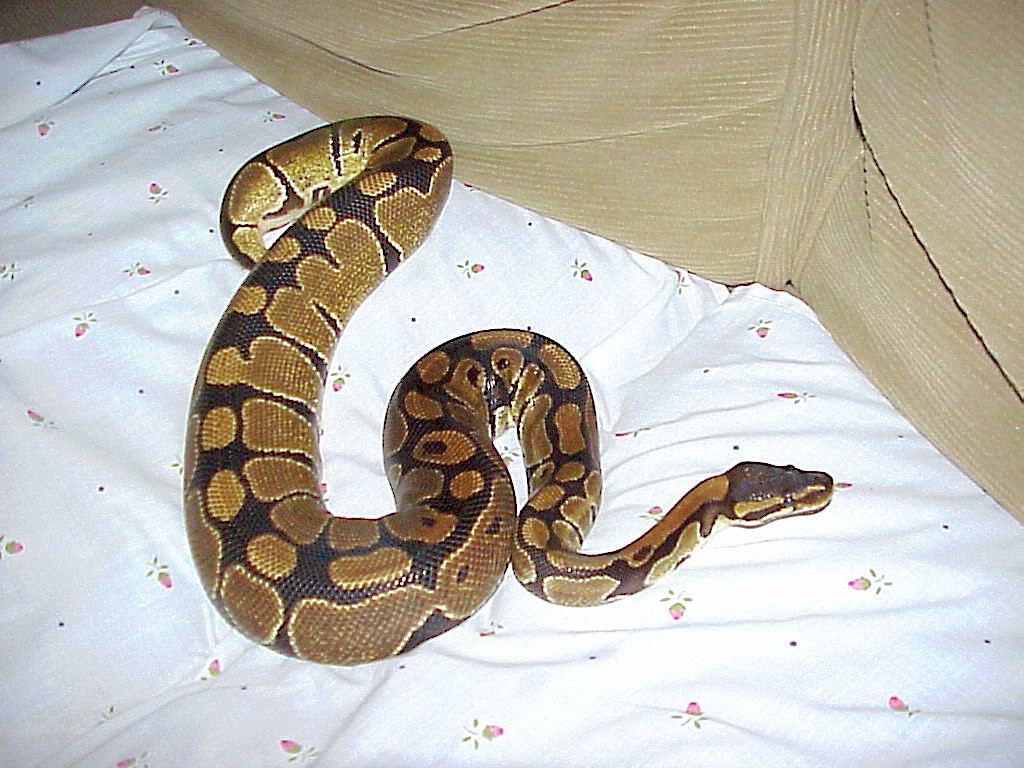 big girl
