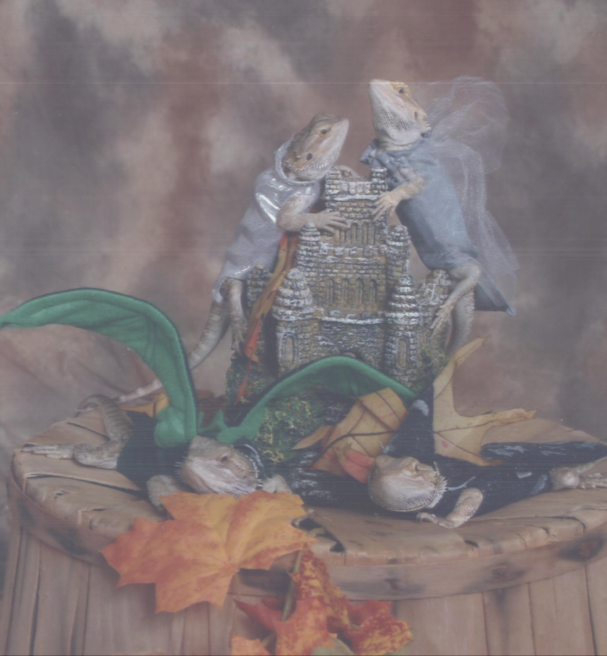Dragons Storming the Castle