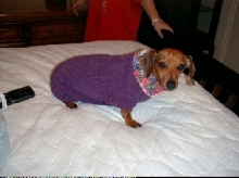 Penny in Sweater