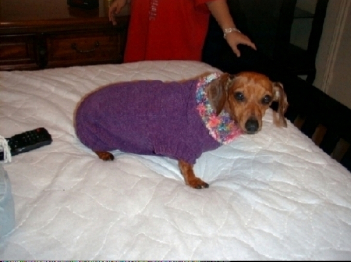 Penny in Sweater