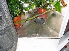 Drainage Systeme
