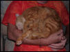 Morris comfy on daddy