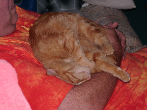 Morris napping on daddy