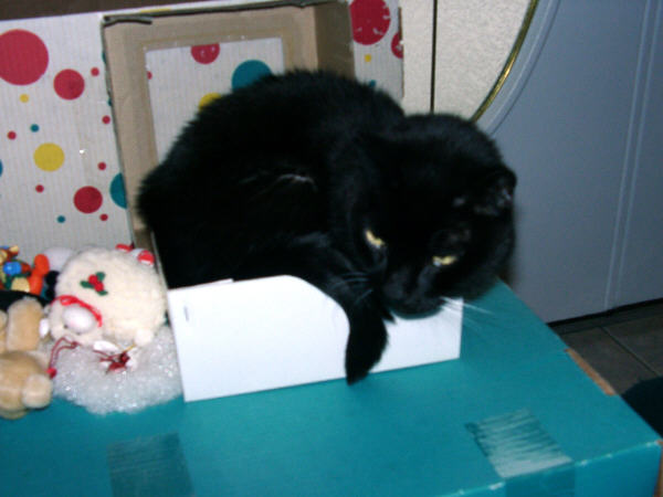 Velvet in box