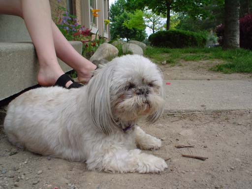 Maggie