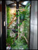 Zoe's Cage
