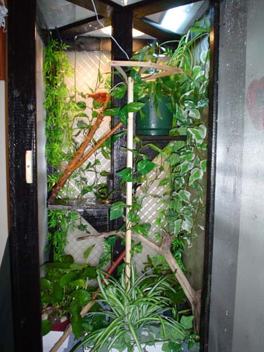 Zoe's Cage