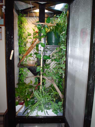 Another Cage Pic